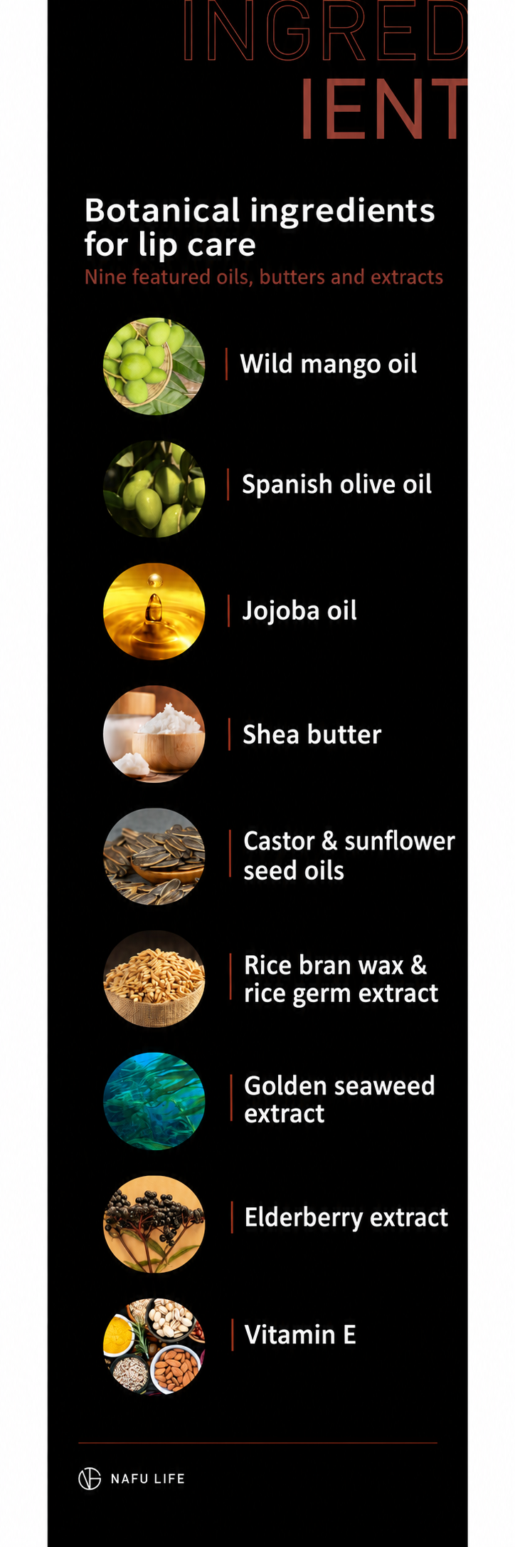 Translated ingredient guide for Asta-S Tinted Lip Balm